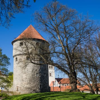View of the Old Tallinn beautiful spring day. Tower Kiek in de kek
