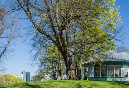 Harju Hill in Tallinn, a beautiful spring day