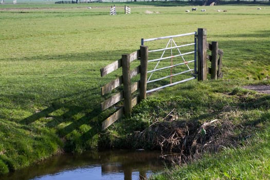 Pasture with fence and a few sheep in the background