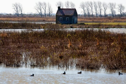Most of the farms and houses in Tiengemeten, a freshwater tidal area in the Haringvliet estuary in the Netherlands, are abandoned and given back to nature. Tiengemeten has become a nature conservation island on which nature-based recreation is possible.