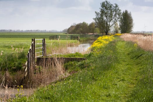 Grass path in a rural area of meadows