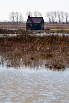 Most of the farms and houses in Tiengemeten, a freshwater tidal area in the Haringvliet estuary in the Netherlands, are abandoned and given back to nature. Tiengemeten has become a nature conservation island on which nature-based recreation is possible.