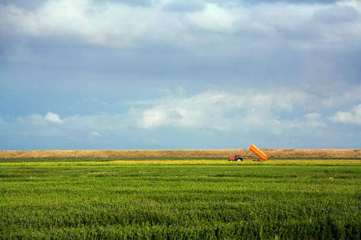 Tractor with orange tipper trailer in the fields