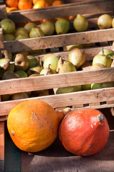 Pumpkins, pears and oranges for sale at the market