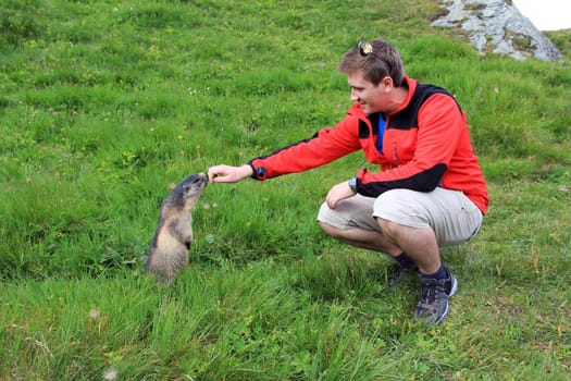A hiker in the mountains with a curious marmot
