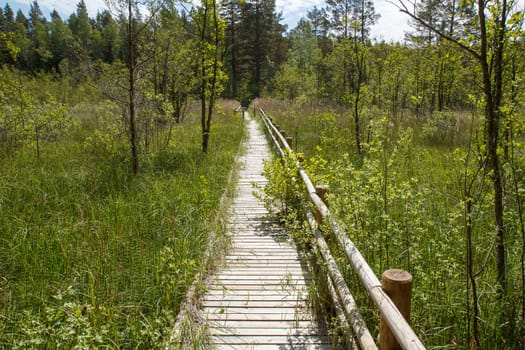 A pathway made out of wooden planks
