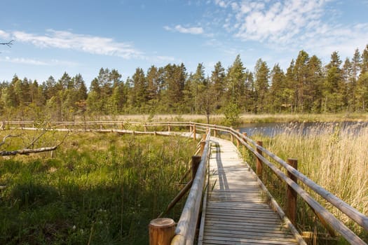A walkway made out of wooden planks