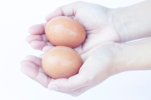 Hand holding eggs isolated on white background, stock photo isolated on white background, stock photo