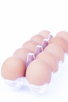Eggs isolated on white background, stock photo