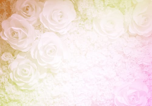 Artificial rose flower background