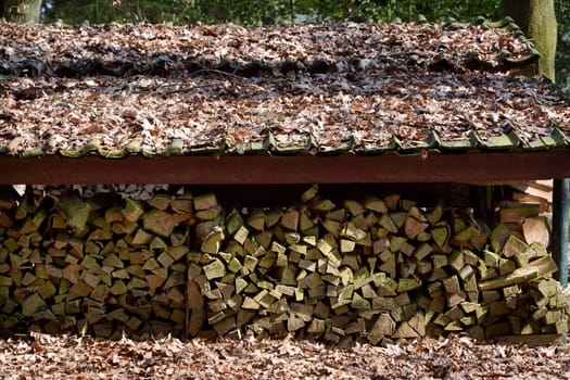 Chopped fire logs drying under a roof in open air. Roof and ground are coated with dead leaves.