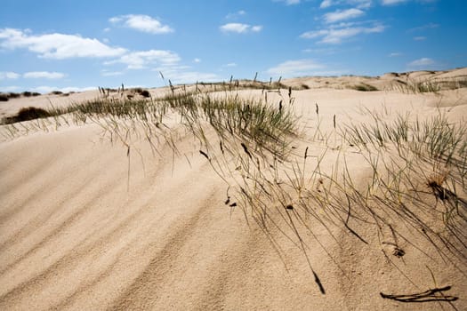 Sand dune with some grass and a nice blue sky with a few clouds