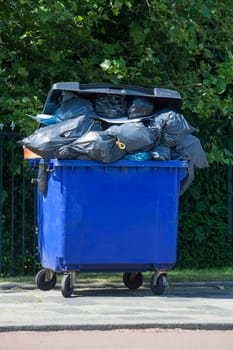 Blue wheeled garbage can overflowed with garbage bags in the street, in front of a garden fence.