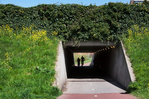 Concrete two-way bicycle tunnel in green environment, in the Netherlands