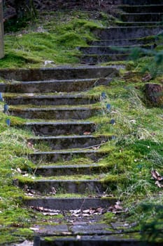 Old spooky staircase partly covered with moss.