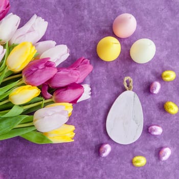 Fresh colorful tulips on purple background