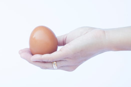 Hand holding egg isolated on white background, stock photo