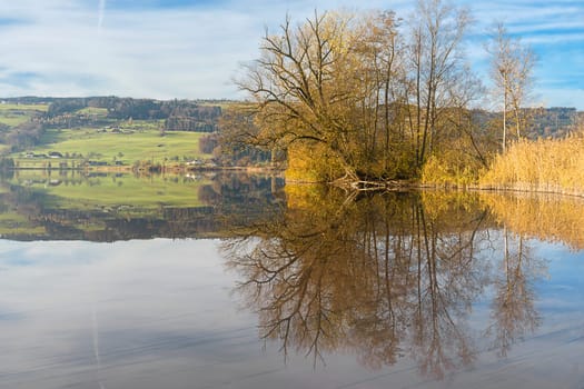 Baldeggersee near Gelfingen
