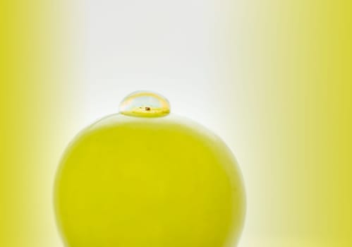 Grape with water drops