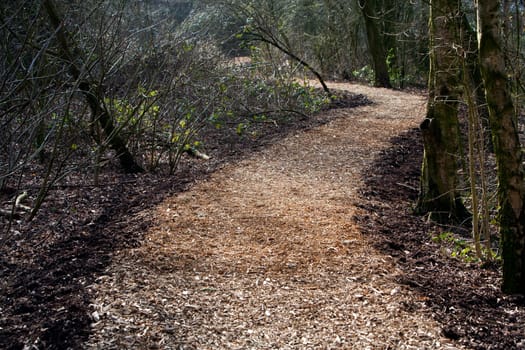 Wood chip footpath in a park