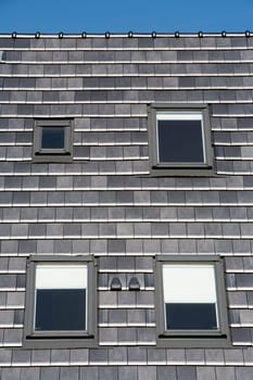 Stylish dark grey roof with skylights