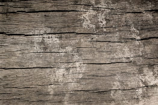 old weathered wood