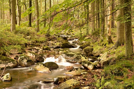 The river Ilse near Ilsenburg in the Harz National Park at the foot of the Brocken