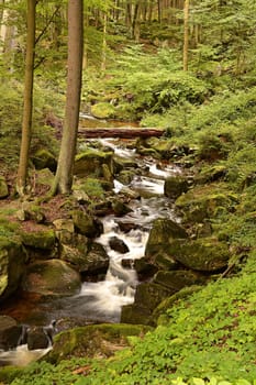 The river Ilse near Ilsenburg in the Harz National Park at the foot of the Brocken