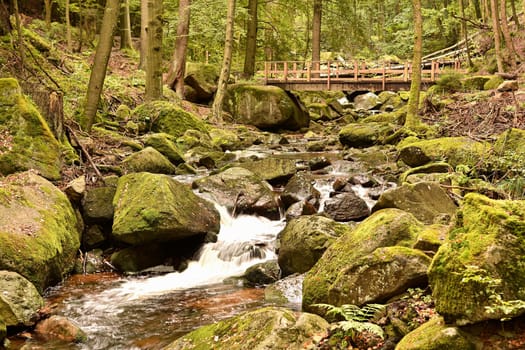 The river Ilse near Ilsenburg in the Harz National Park at the foot of the Brocken