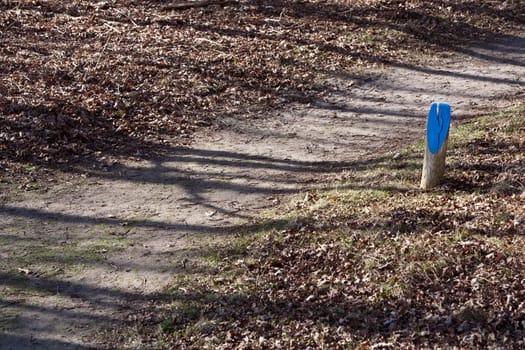 Blue painted pole as sign for a promenade