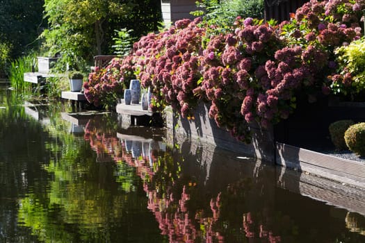 Waterfront garden and its reflections in autumn