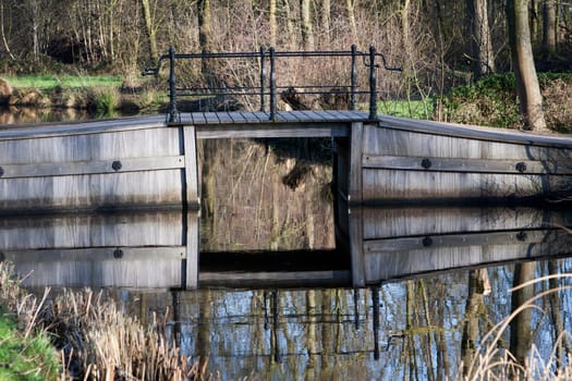 Hardwood bridge in a green environment.
