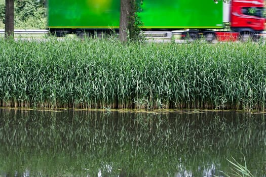 Nature and green next to the highway where a trucker is doing its job