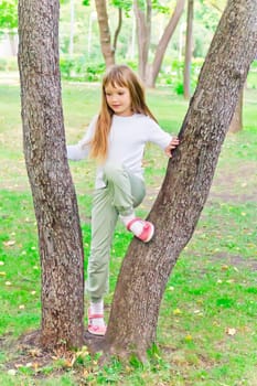Photo of cute girl in summer sit on tree