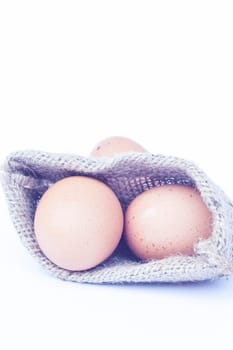 Eggs isolated on white background, stock photo