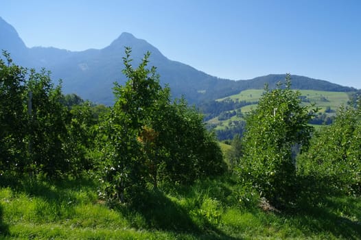 Eisack Valley in the Dolomites - Eisack valley in italian Dolomites 01