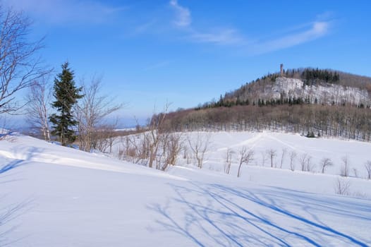 Geisingberg in winter - mountain Geisingberg in winter 03