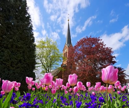 Papenburg Nikolaikirche - Papenburg Nikolaichurch 01