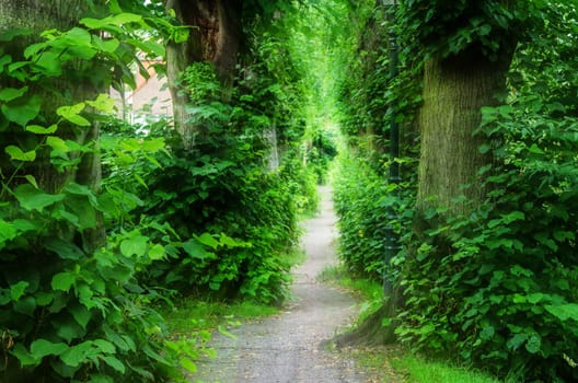 Into the Light,footpath over the Barbarossa Wall in Düsseldorf Kaiserswerth.