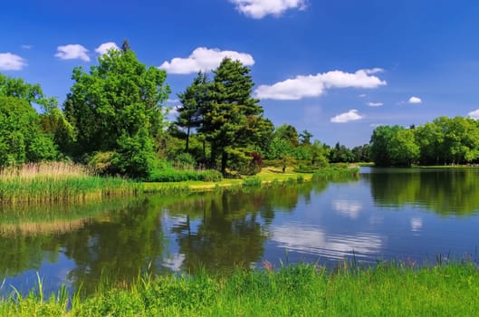 Woerlitzer Park Lake - English Grounds of Woerlitz lake 18