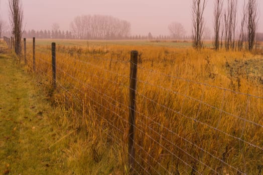 Misty autumn prairie landscape in the rain with fence line.