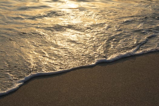 Tropical Beach Waves At Golden Hour Glowing at Morning Sunlight