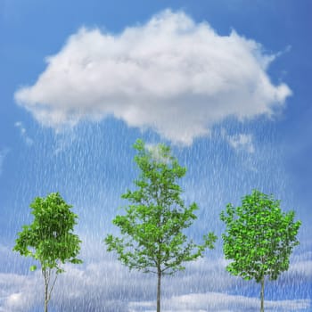 View of the green trees below a rainy cloud