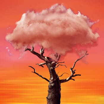 Global warming concept. Lonely dead tree under dramatic evening sunset sky with a sulfur cloud above