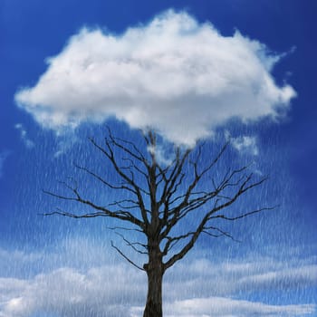 Dramatic, dry, lonely tree underneath a acid rain cloud