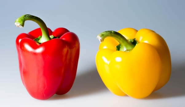 Red and Yellow Bell Pepper close up on grey background.