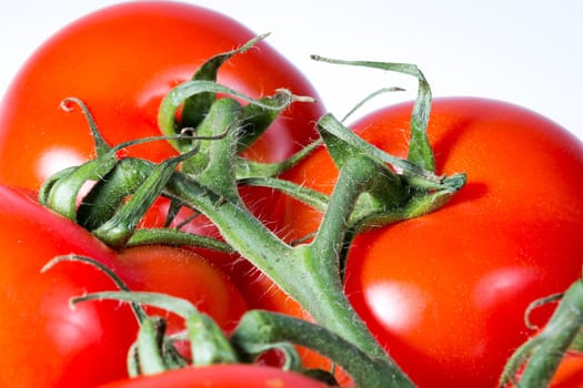 Tomatoes Close Up on white background, Macro Image.