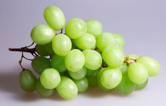 Green Grapes Close Up on grey background.