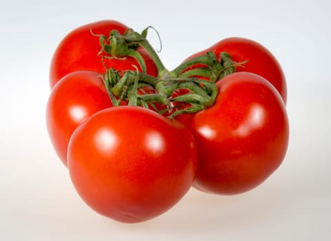 Tomatoes Close Up on white background.
