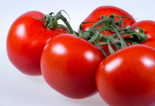 Tomatoes Close Up on white background.